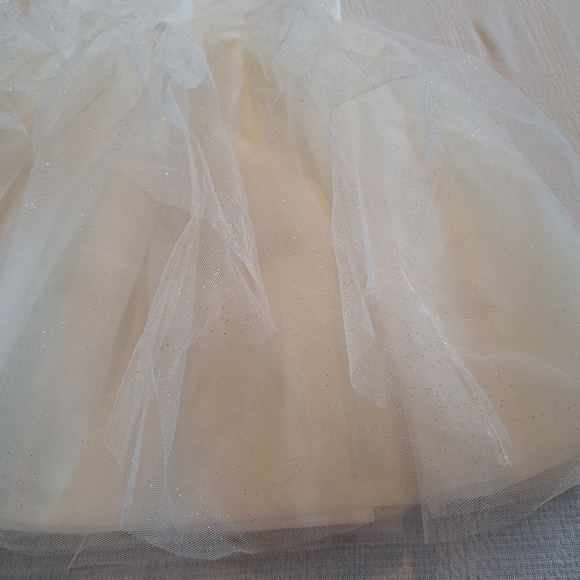 Janie and Jack girls size 4 Shimmer Tulle Dress from Lavender Land line 2016 EUC - Picture 6 of 8
